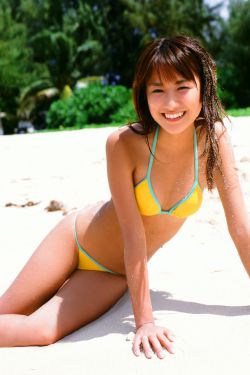 乡村野花香